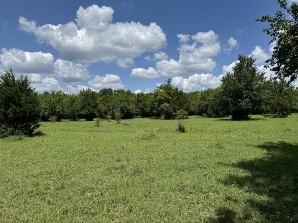 Picture of Residential Land For Sale in Prairie, Mississippi, United States