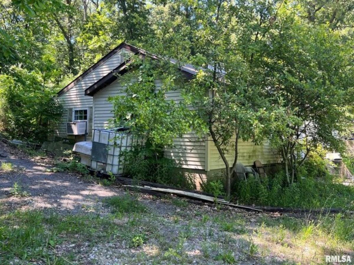 Picture of Residential Land For Sale in Petersburg, Illinois, United States