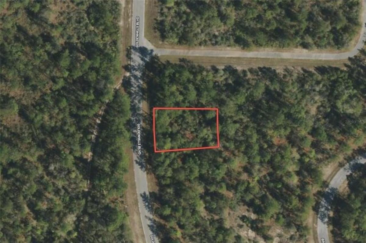 Picture of Residential Land For Rent in Chipley, Florida, United States