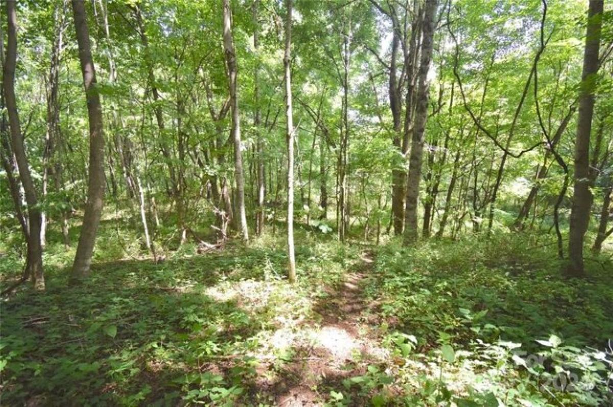 Picture of Residential Land For Sale in Waynesville, North Carolina, United States