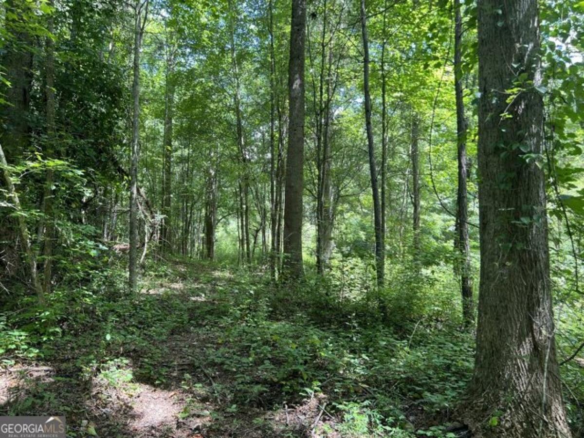 Picture of Residential Land For Sale in Marietta, Georgia, United States