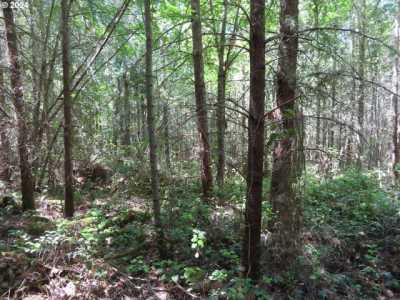 Residential Land For Sale in Eatonville, Washington