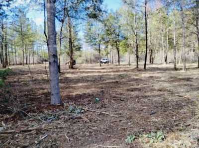 Residential Land For Sale in Buna, Texas