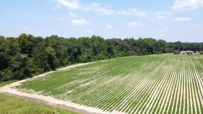 Residential Land For Sale in Ashford, Alabama