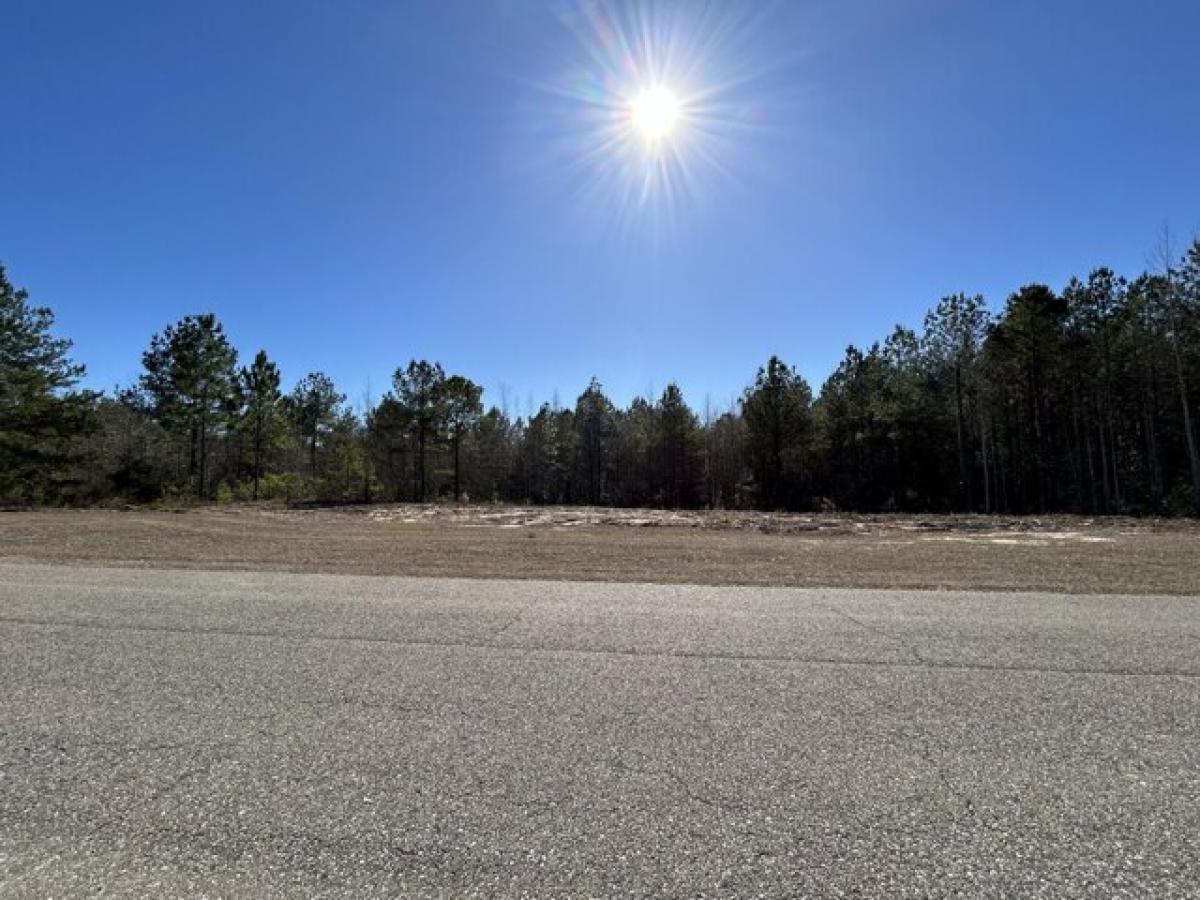 Picture of Residential Land For Sale in Lumberton, Mississippi, United States