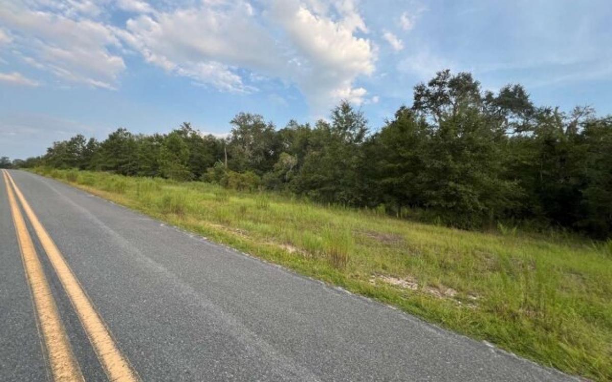 Picture of Residential Land For Sale in Wellborn, Florida, United States