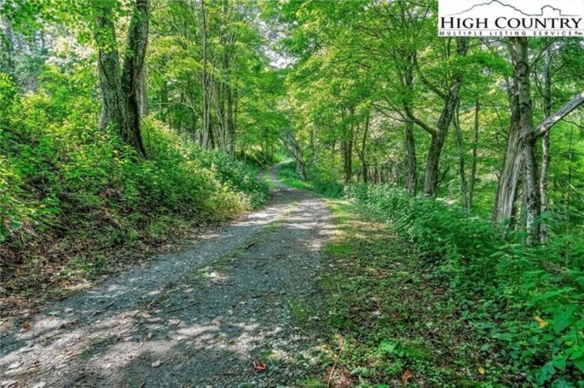 Picture of Residential Land For Sale in Lansing, North Carolina, United States