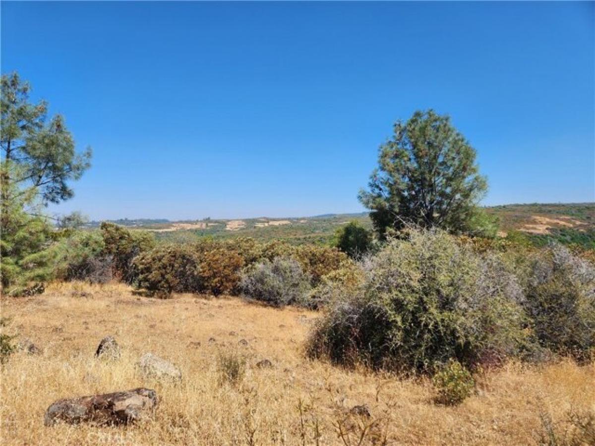 Picture of Residential Land For Sale in Forest Ranch, California, United States