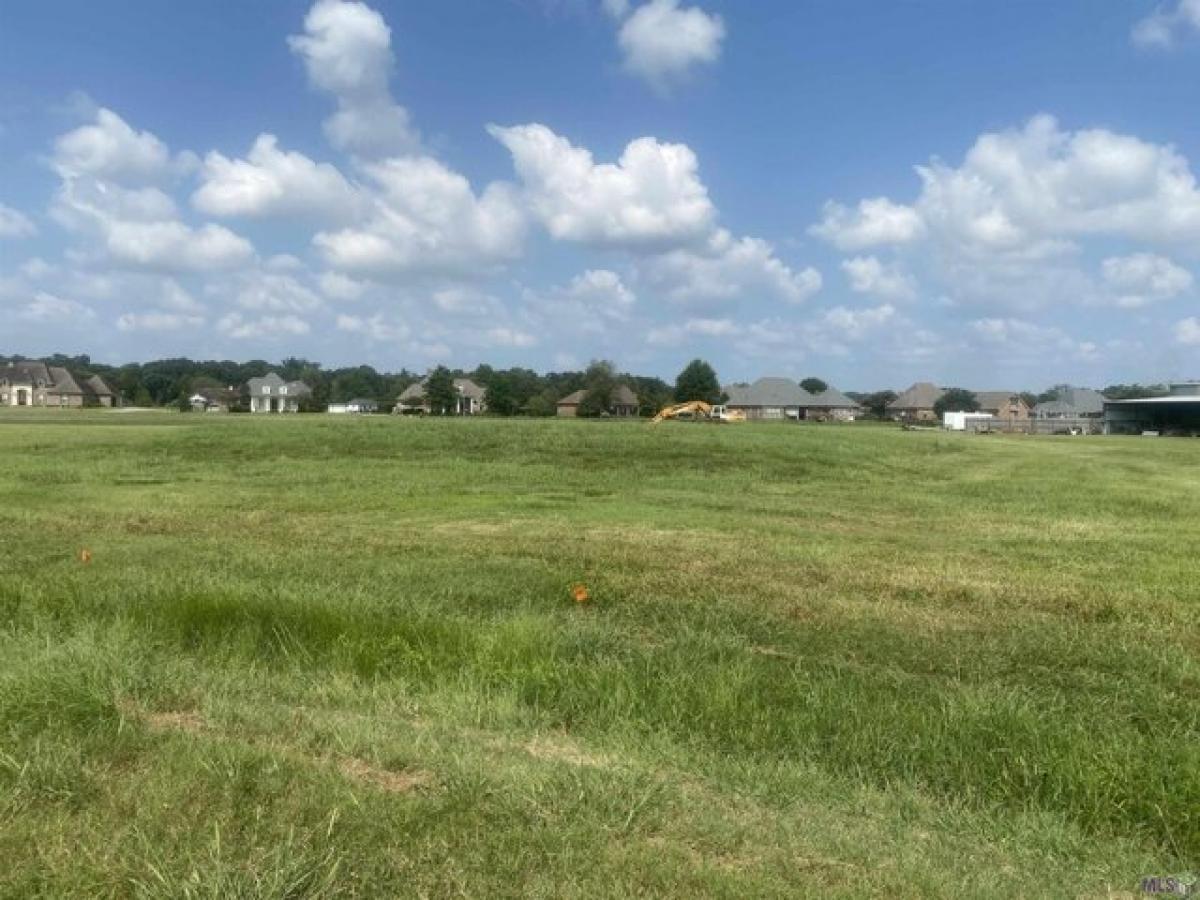 Picture of Residential Land For Sale in Gonzales, Louisiana, United States