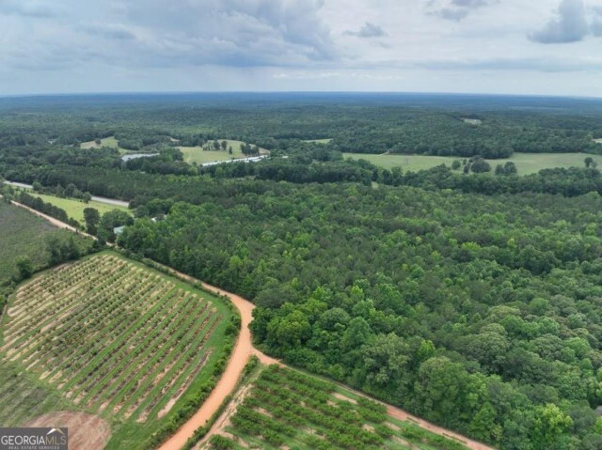 Picture of Residential Land For Sale in Musella, Georgia, United States