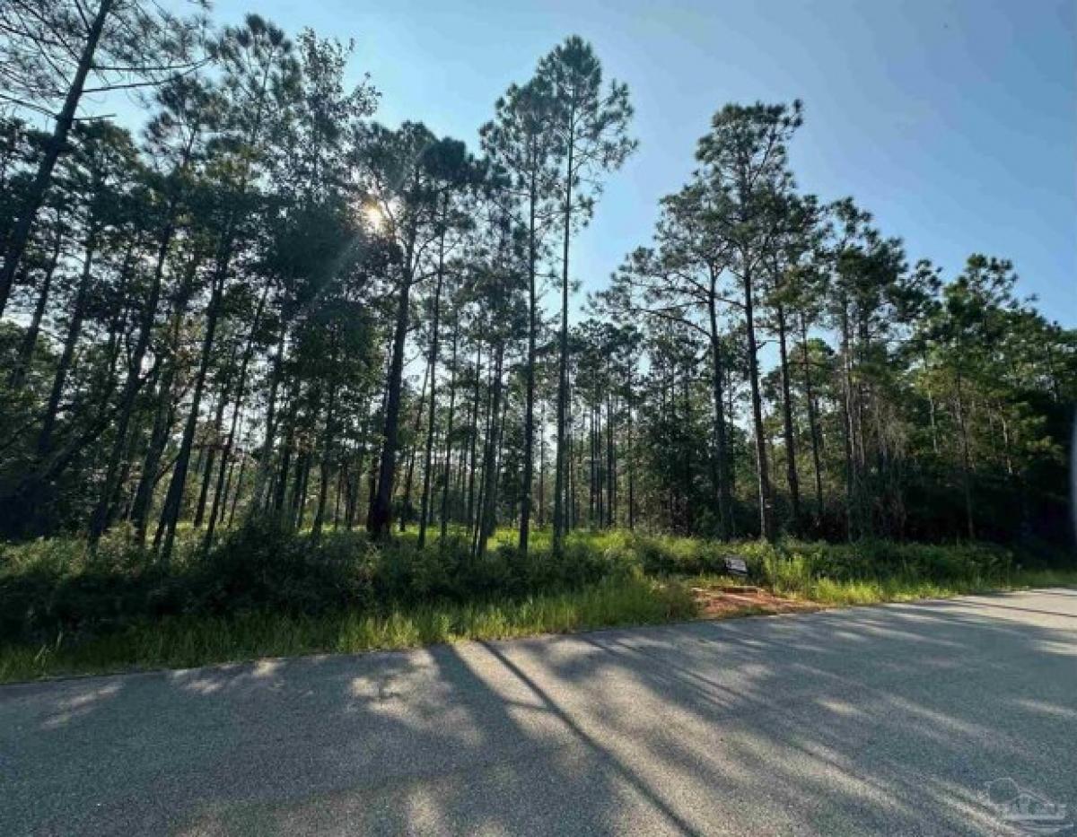 Picture of Residential Land For Sale in Milton, Florida, United States