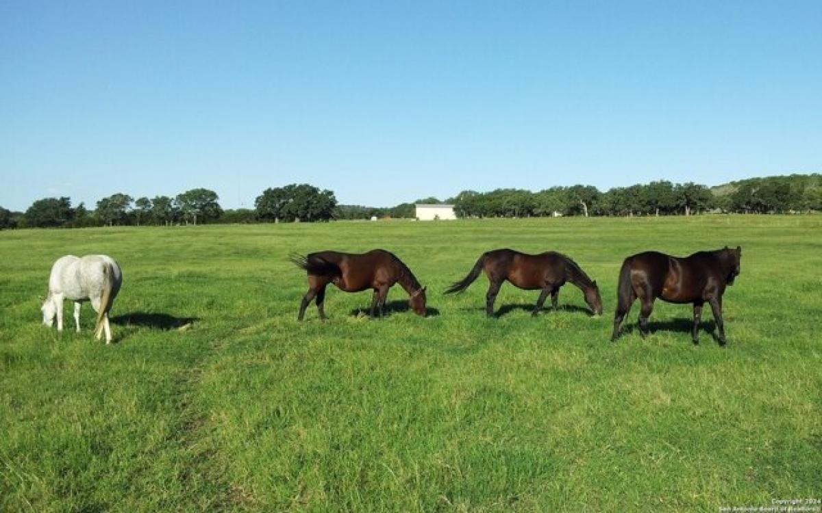 Picture of Residential Land For Sale in Boerne, Texas, United States