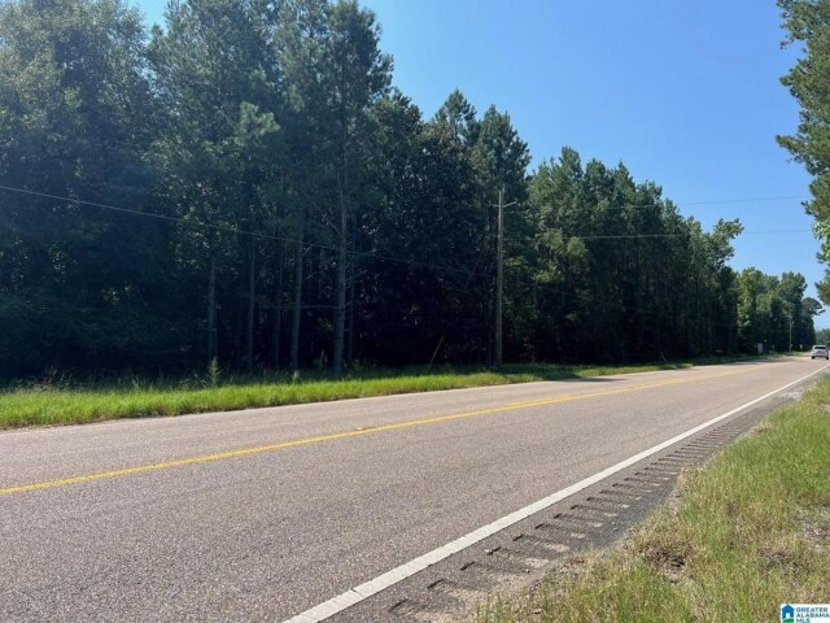 Picture of Residential Land For Sale in Stanton, Alabama, United States