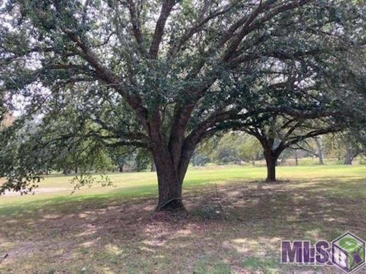 Picture of Residential Land For Sale in Prairieville, Louisiana, United States