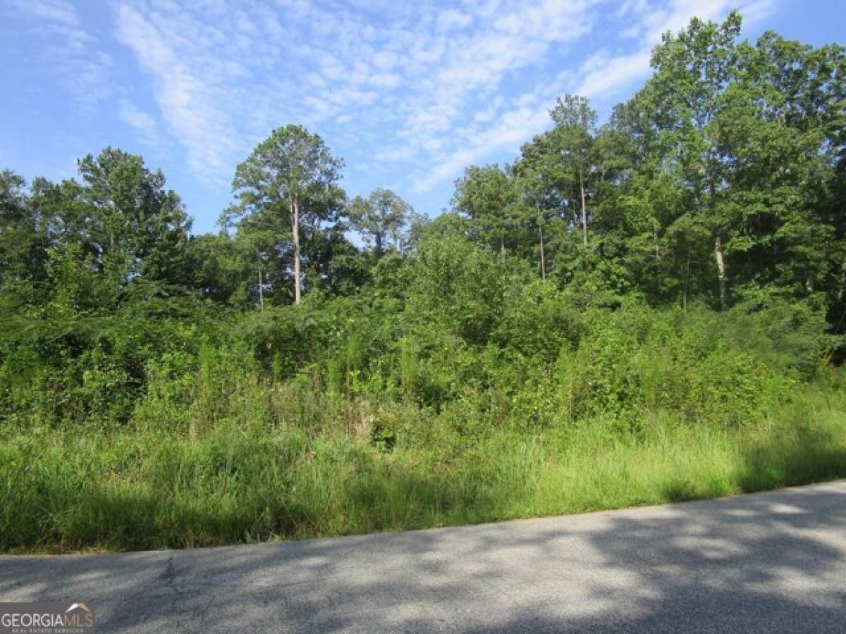 Picture of Residential Land For Sale in Griffin, Georgia, United States