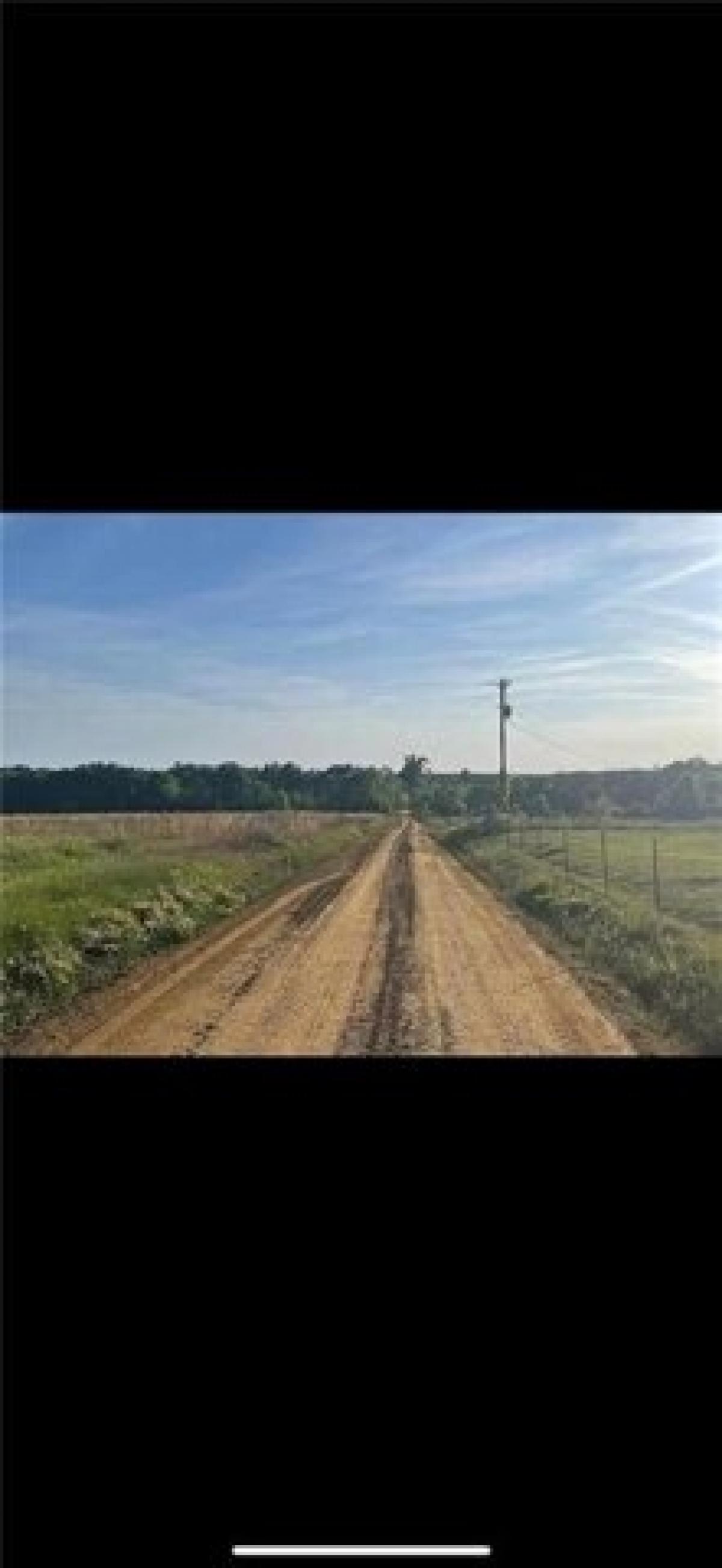 Picture of Residential Land For Sale in Uvalda, Georgia, United States