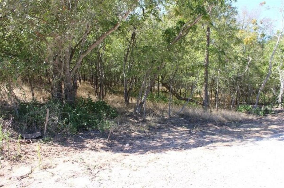 Picture of Residential Land For Sale in Bastrop, Texas, United States