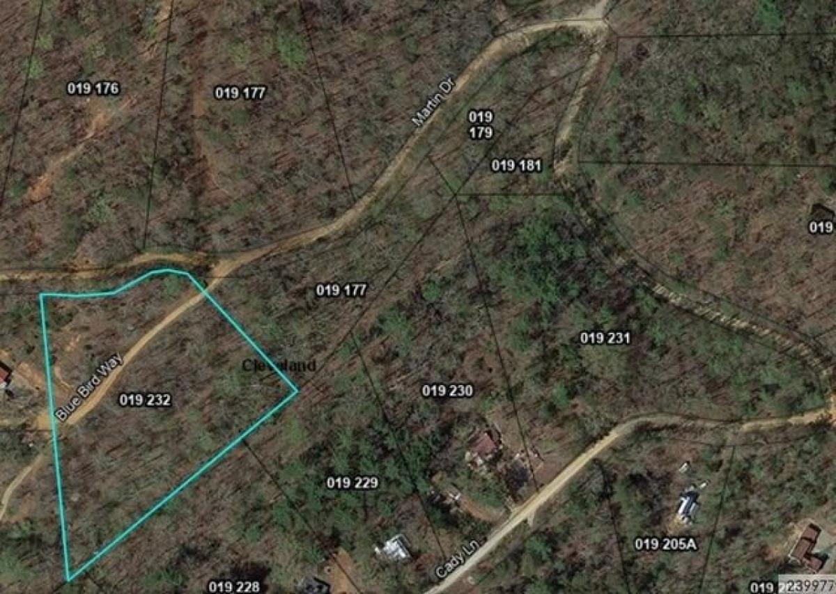 Picture of Residential Land For Sale in Cleveland, Georgia, United States