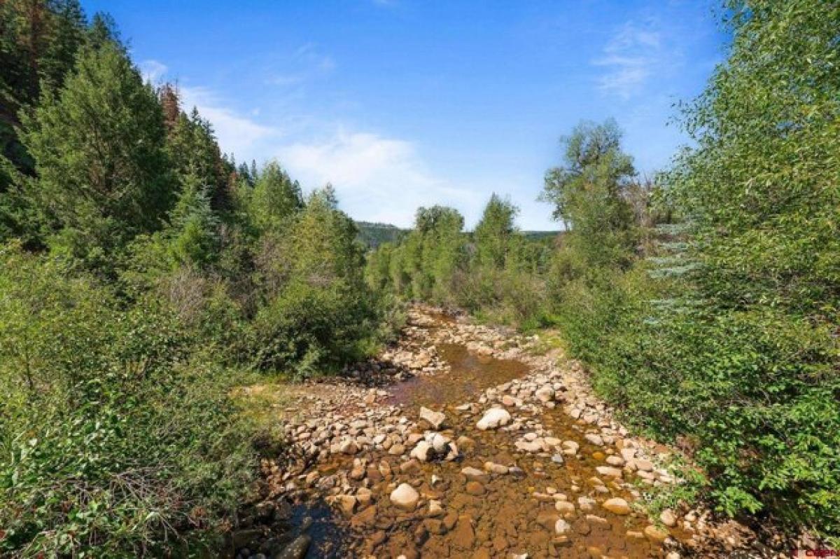 Picture of Residential Land For Sale in Dolores, Colorado, United States