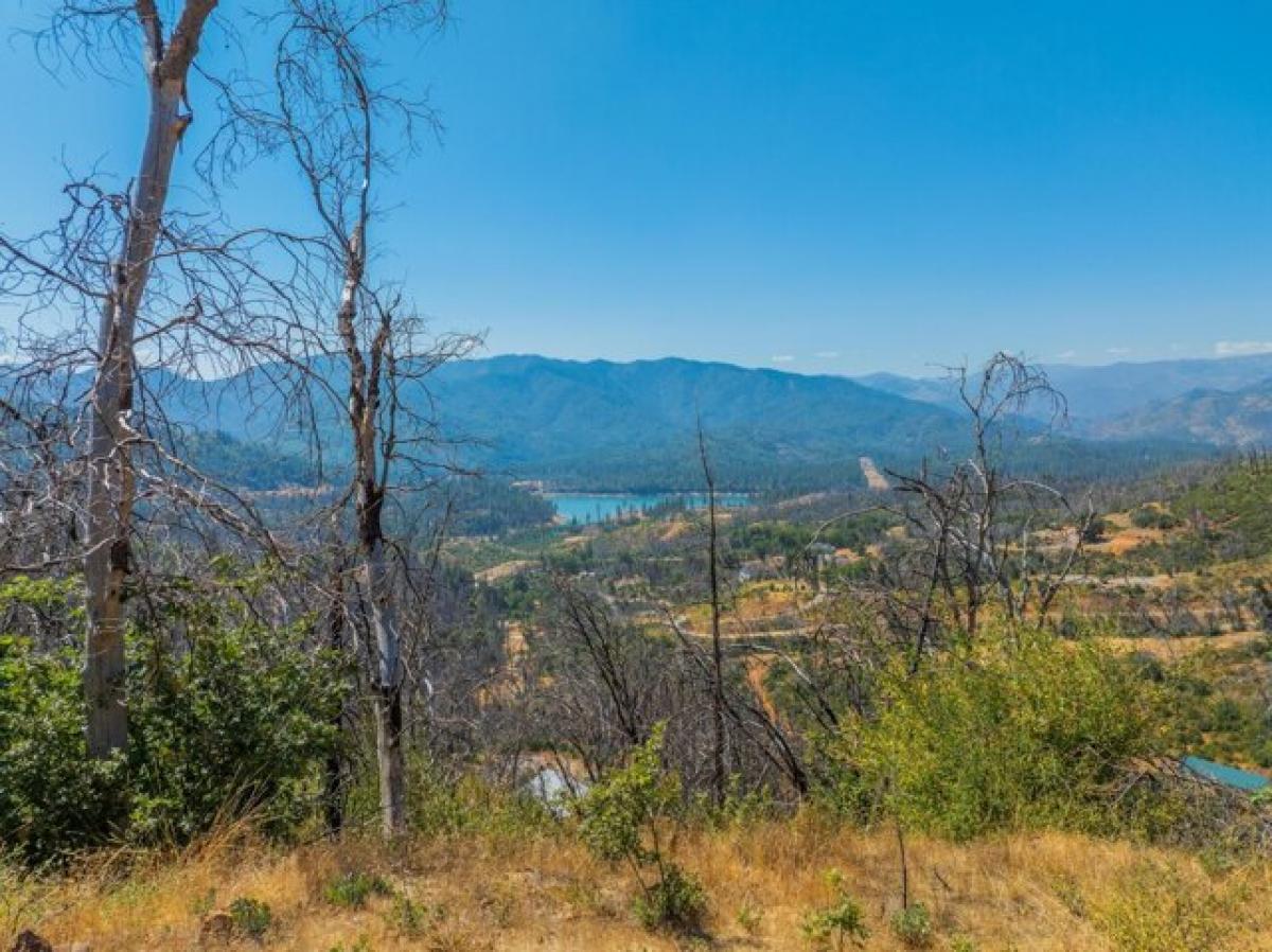 Picture of Residential Land For Sale in Lakehead, California, United States