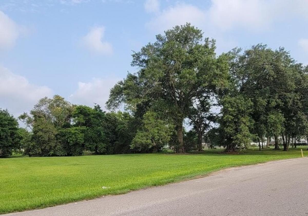 Picture of Residential Land For Sale in West Columbia, Texas, United States