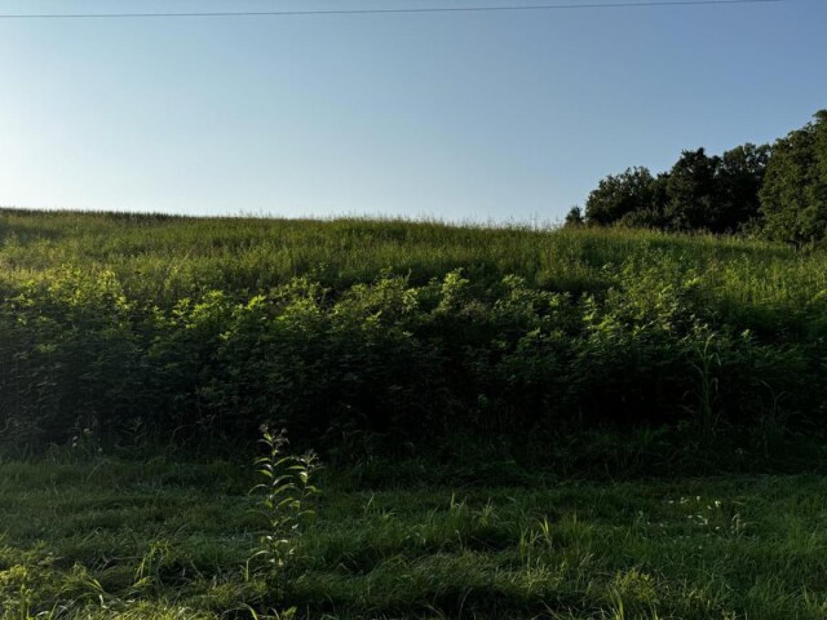 Picture of Residential Land For Sale in Sharpsburg, Kentucky, United States