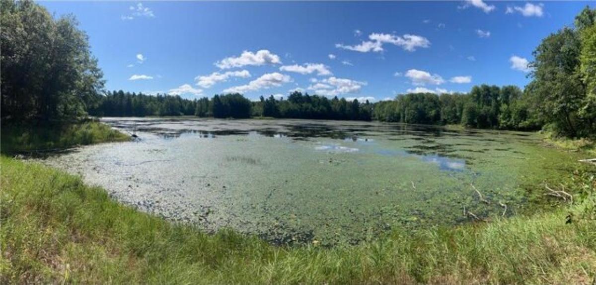 Picture of Residential Land For Sale in Birchwood, Wisconsin, United States