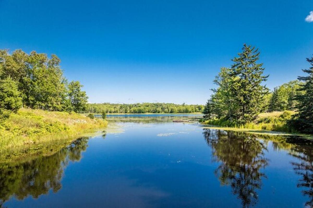 Picture of Home For Sale in Islesboro, Maine, United States