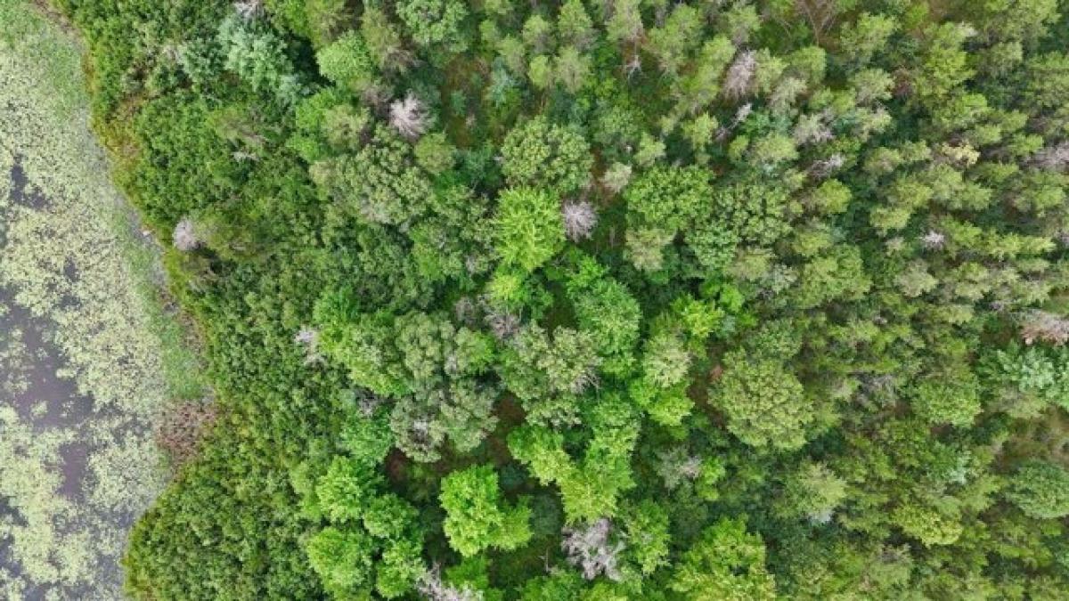 Picture of Residential Land For Sale in Friendship, Wisconsin, United States