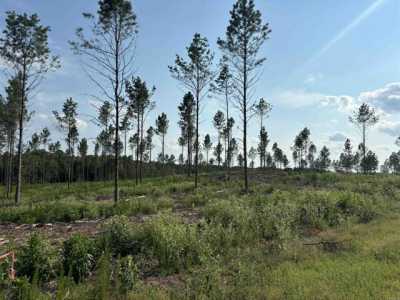 Residential Land For Sale in 