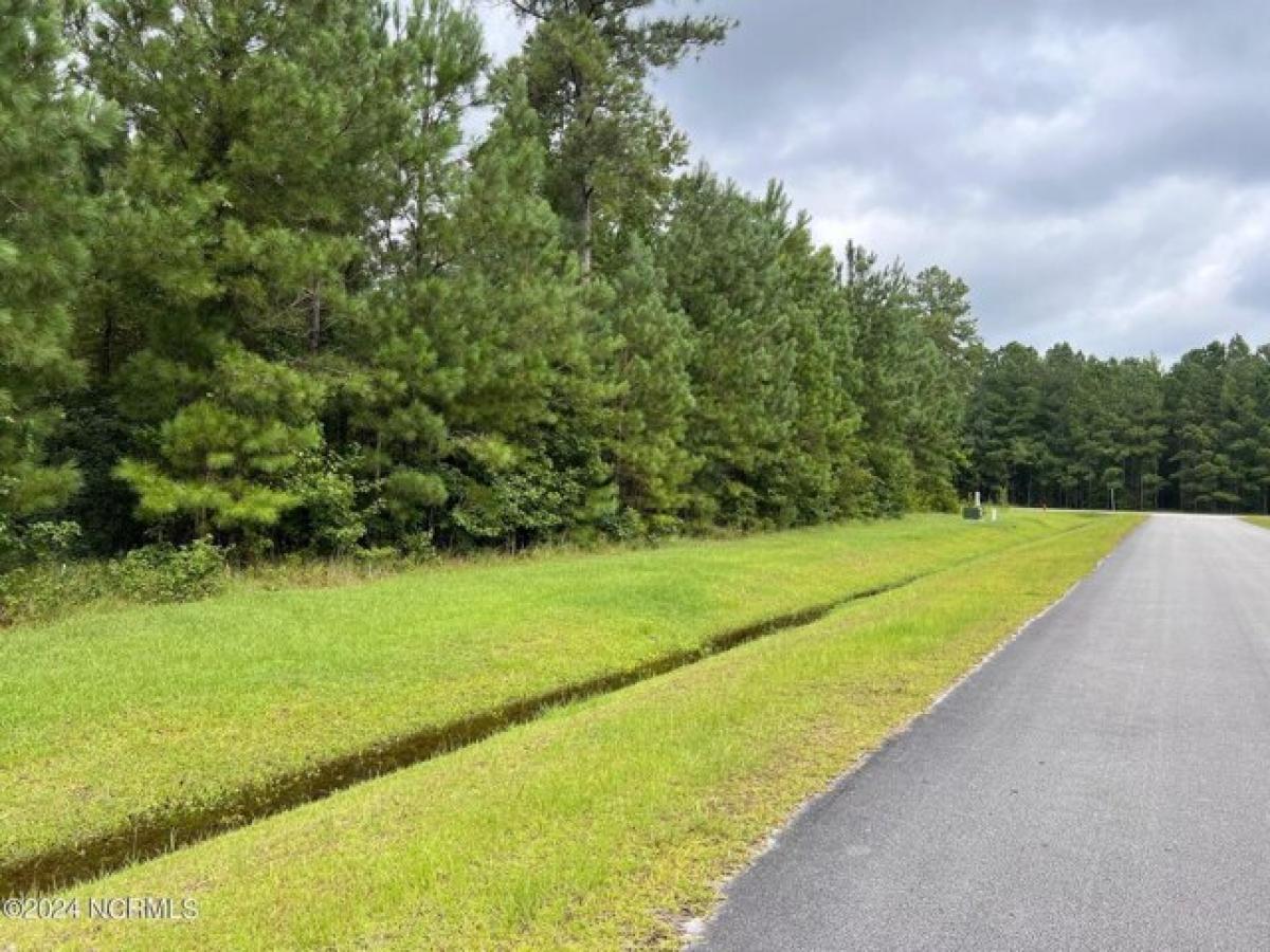 Picture of Residential Land For Sale in Oriental, North Carolina, United States