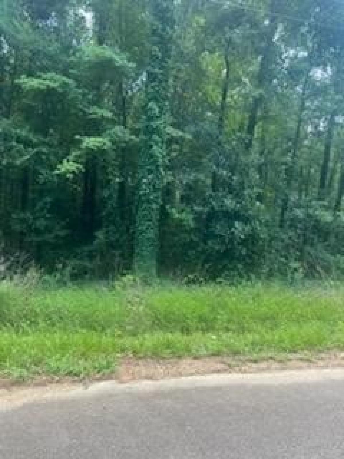 Picture of Residential Land For Sale in Columbia, South Carolina, United States