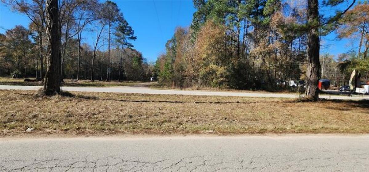 Picture of Residential Land For Sale in New Caney, Texas, United States