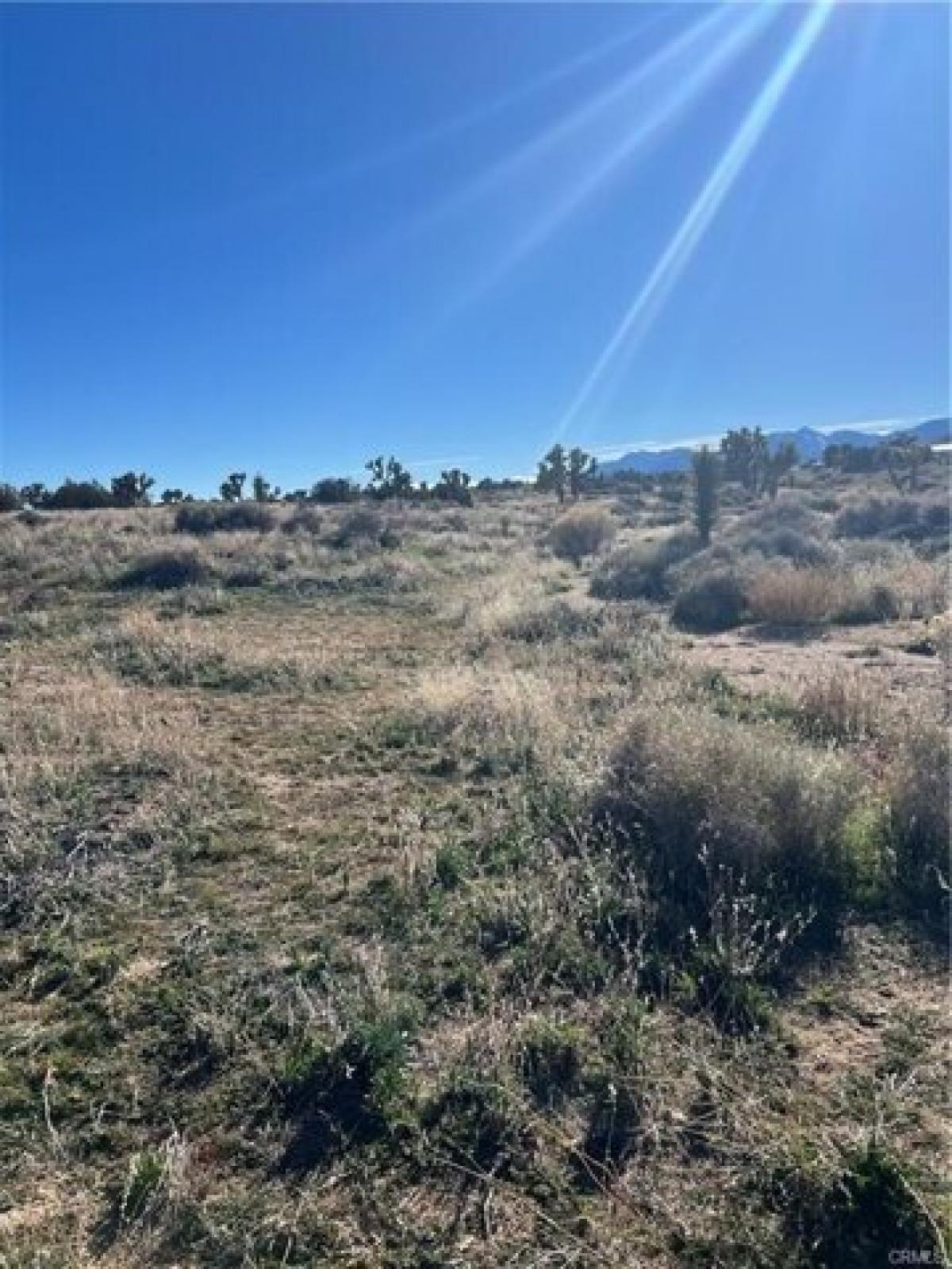 Picture of Residential Land For Sale in Phelan, California, United States