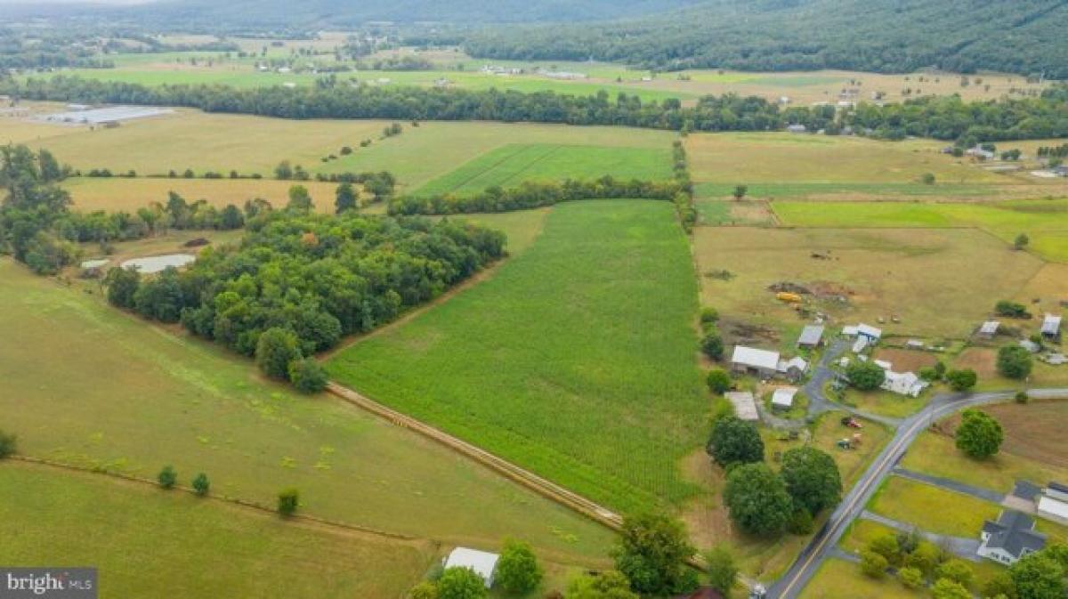 Picture of Residential Land For Sale in Luray, Virginia, United States