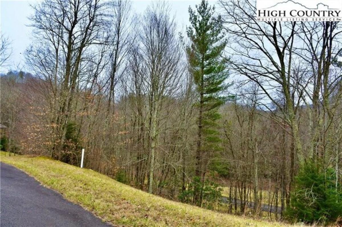 Picture of Residential Land For Sale in Linville, North Carolina, United States