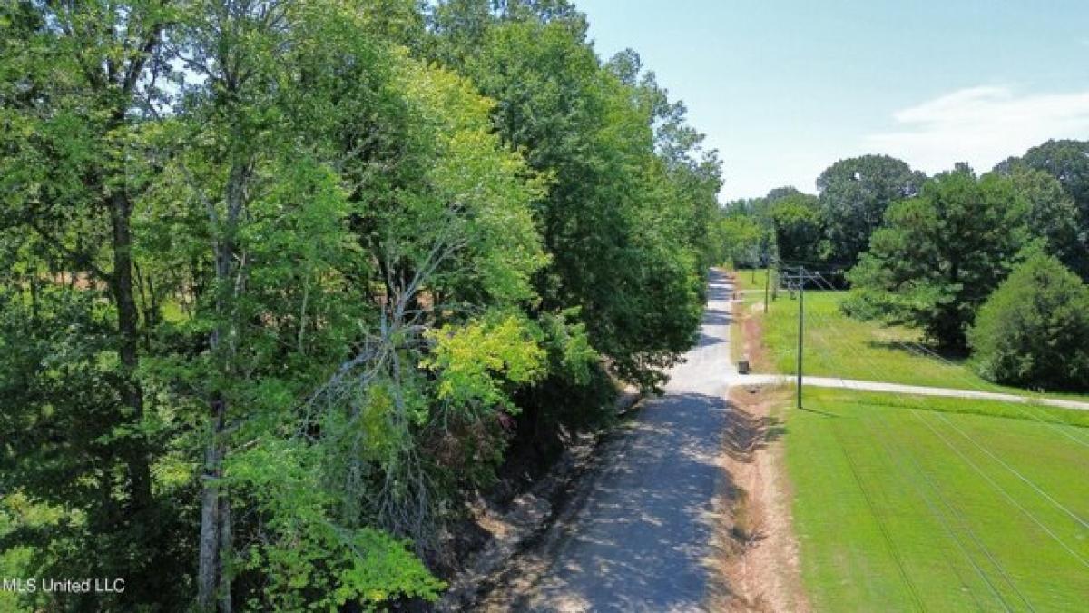 Picture of Residential Land For Sale in Byhalia, Mississippi, United States