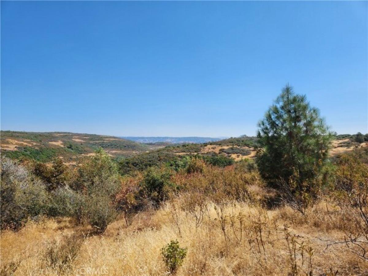 Picture of Residential Land For Sale in Forest Ranch, California, United States