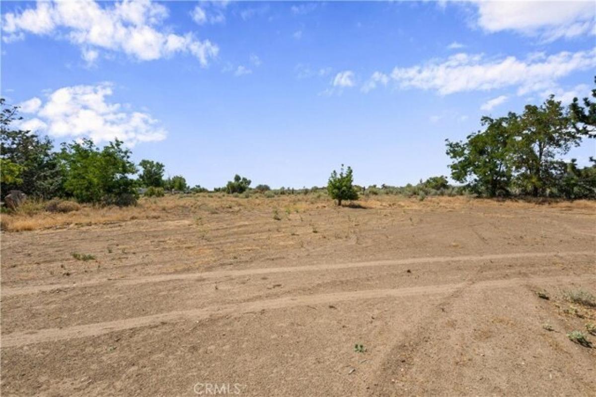 Picture of Home For Sale in Anza, California, United States