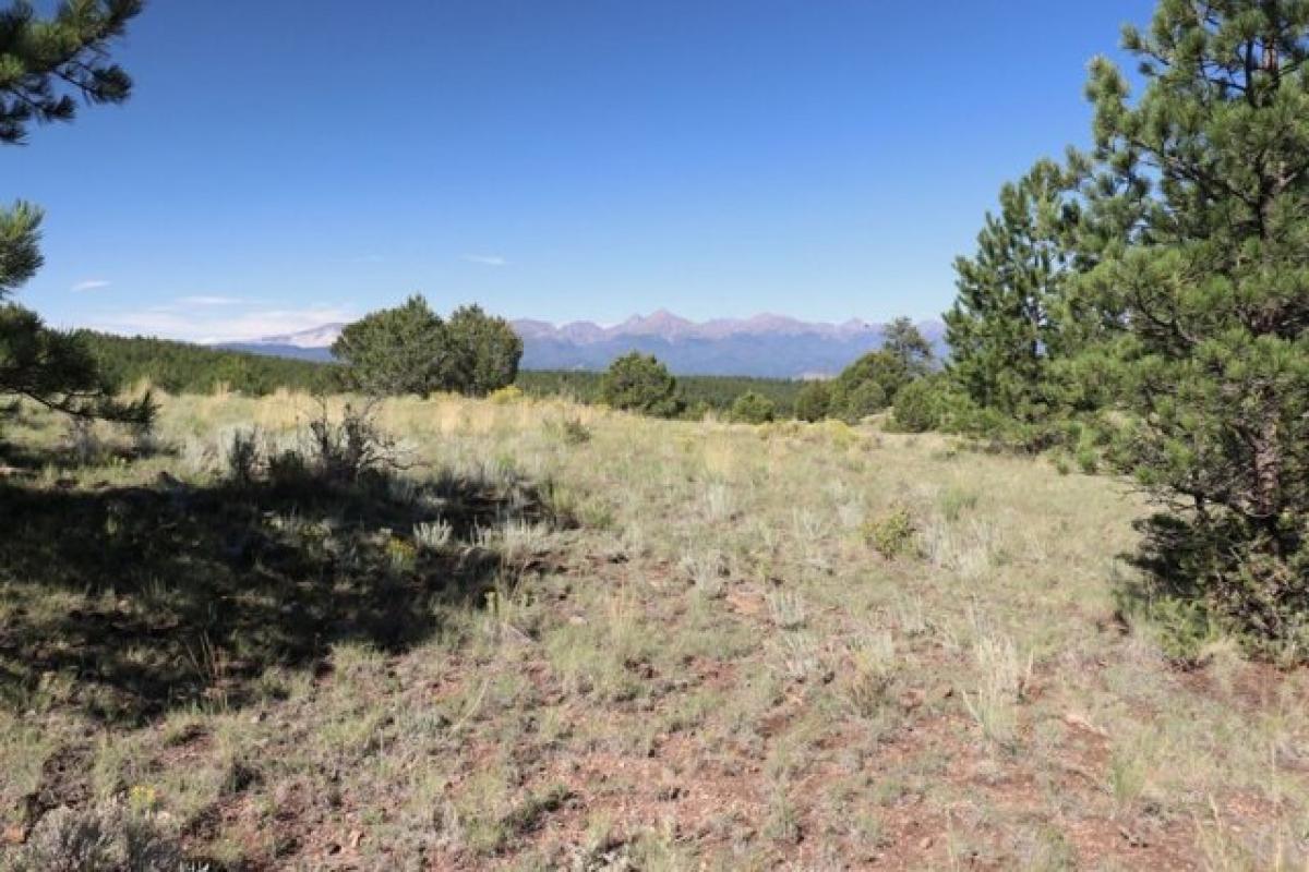 Picture of Residential Land For Sale in Westcliffe, Colorado, United States