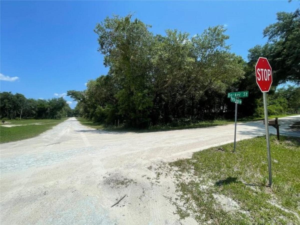 Picture of Residential Land For Sale in Webster, Florida, United States