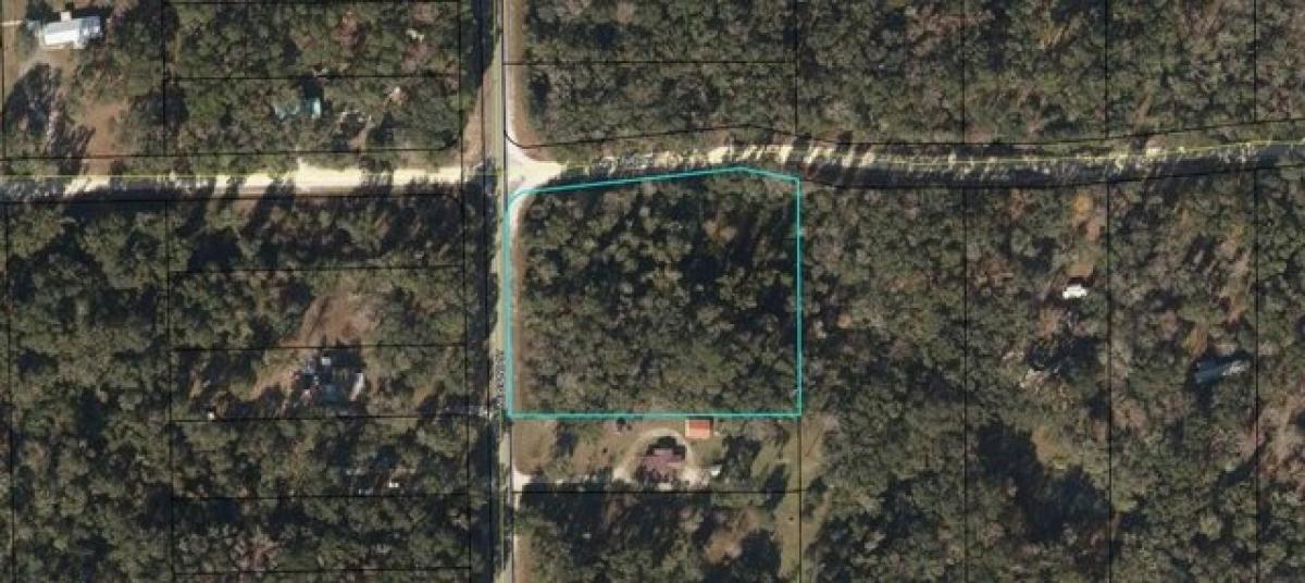 Picture of Residential Land For Sale in Old Town, Florida, United States