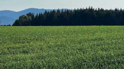 Residential Land For Sale in Deer Park, Washington