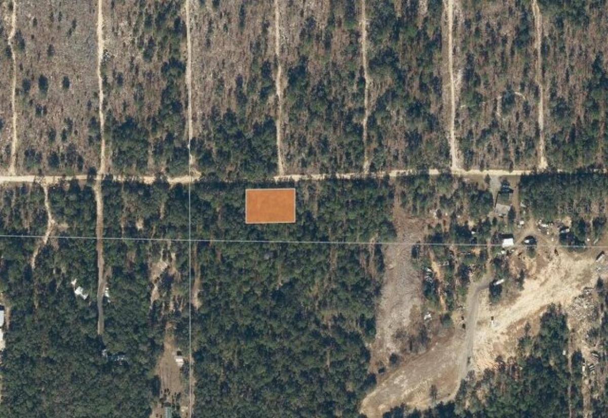 Picture of Residential Land For Sale in Hawthorne, Florida, United States