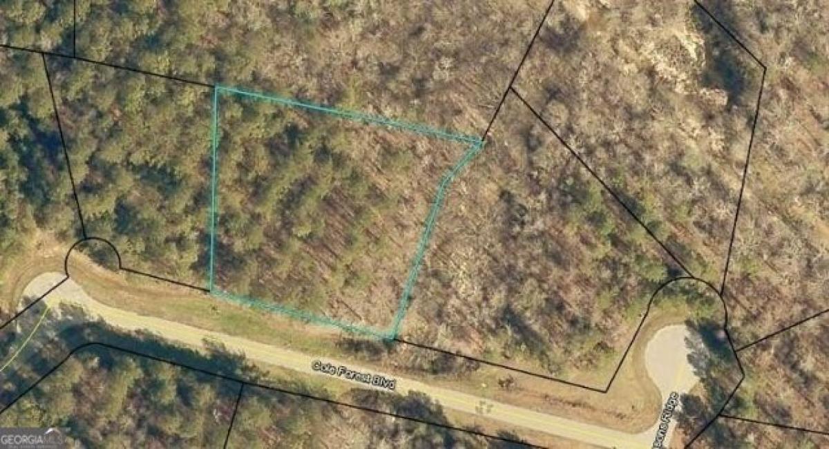 Picture of Residential Land For Sale in Barnesville, Georgia, United States