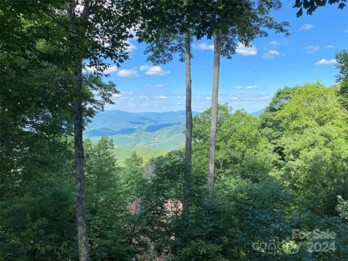 Picture of Home For Sale in Burnsville, North Carolina, United States