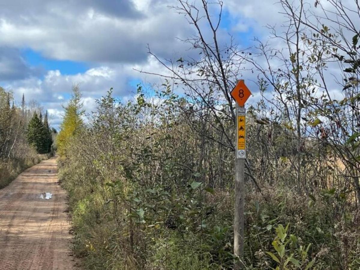 Picture of Residential Land For Sale in Brimley, Michigan, United States