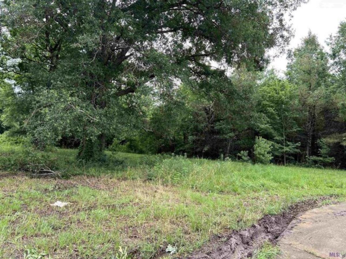 Picture of Residential Land For Sale in Oak Grove, Louisiana, United States