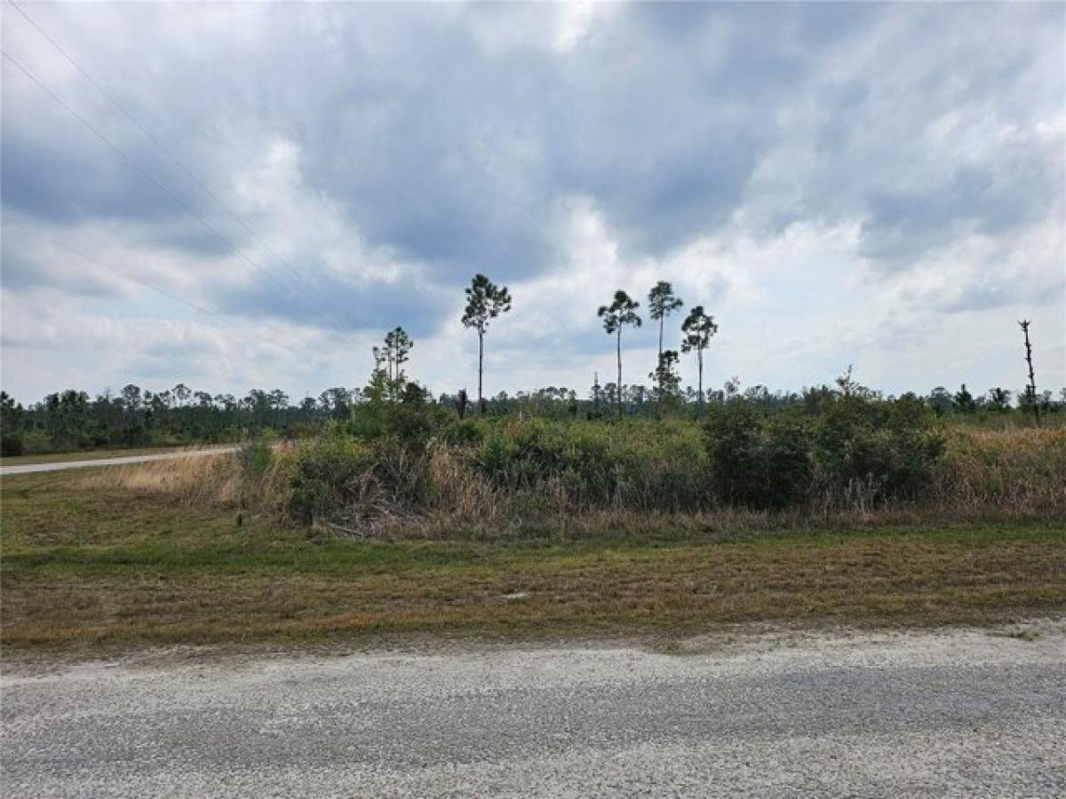 Picture of Residential Land For Sale in Indian Lake Estates, Florida, United States