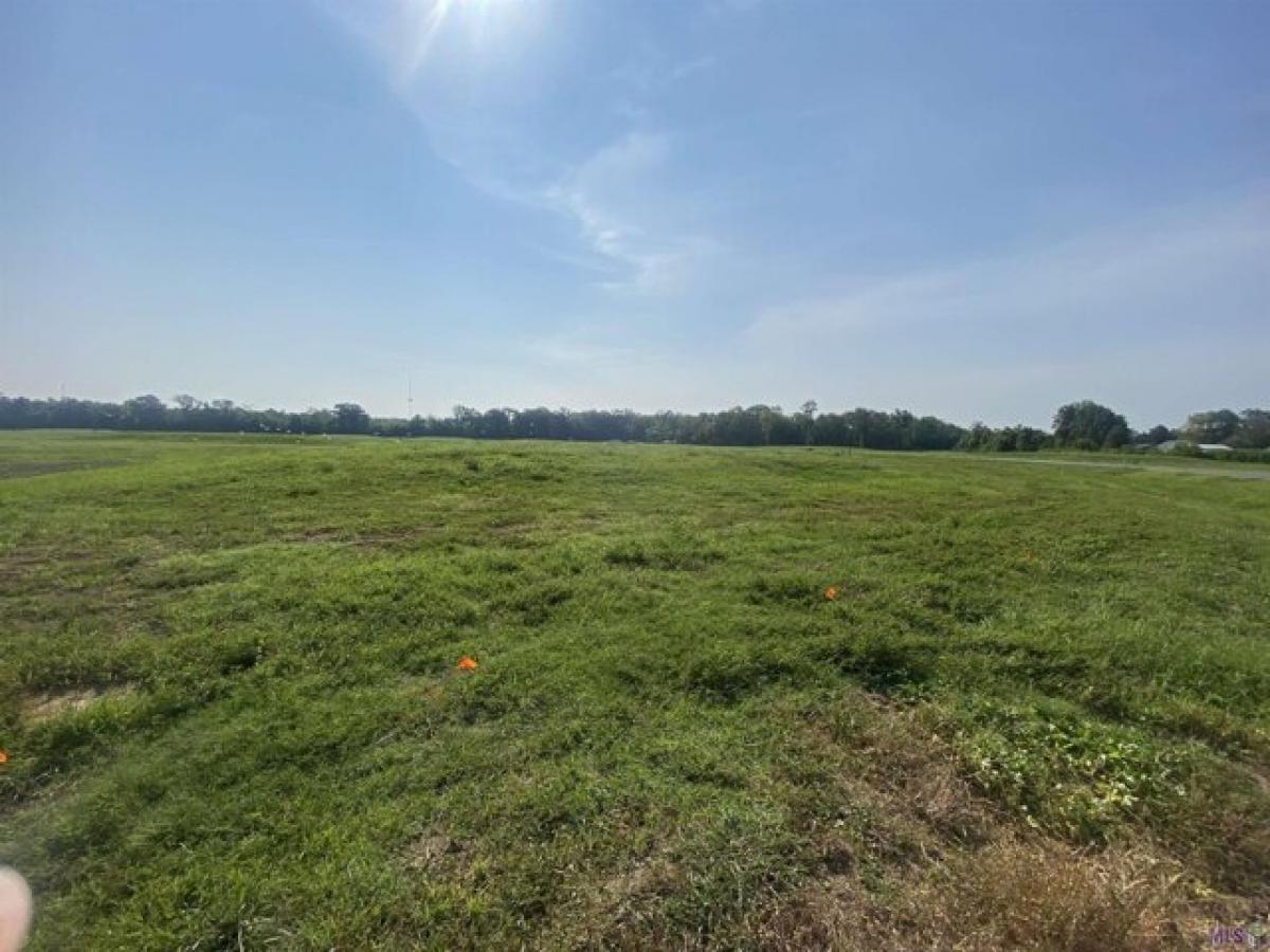 Picture of Residential Land For Sale in Gonzales, Louisiana, United States